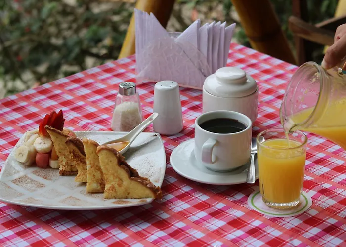 Nativa Bambu Ecolodge